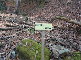 弥十郎ヶ岳