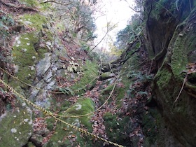 弥十郎ヶ岳