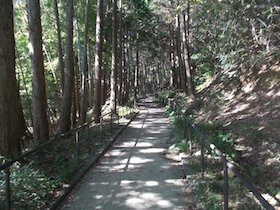矢筈山