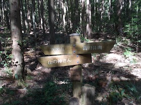 矢筈山
