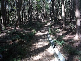 矢筈山