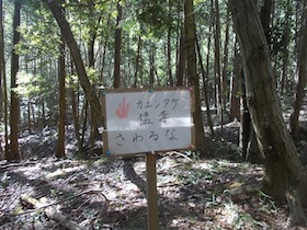矢筈山