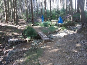 矢筈山