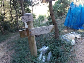 矢筈山