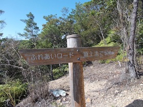 矢筈山