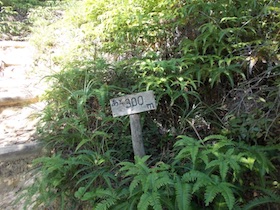矢筈山
