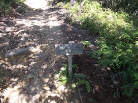矢筈山