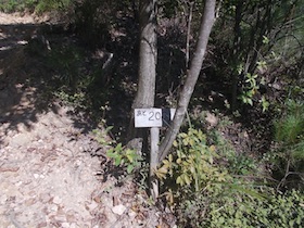 矢筈山
