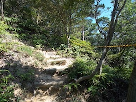 矢筈山