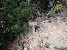 矢筈山