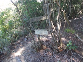矢筈山