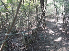 矢筈山
