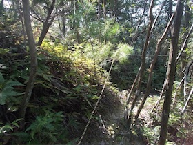 矢筈山