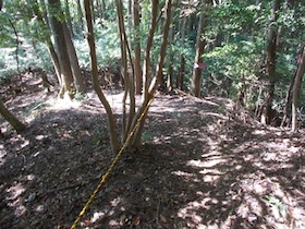 矢筈山