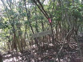 矢筈山