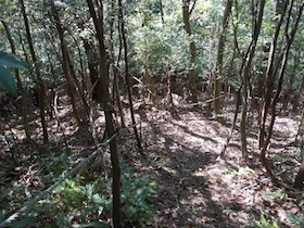 矢筈山