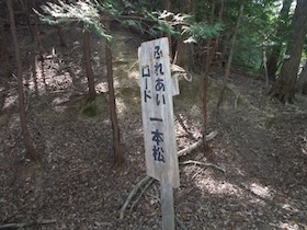 矢筈山