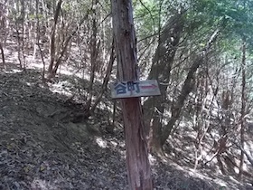 矢筈山
