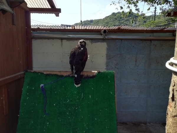 しとろり動物園