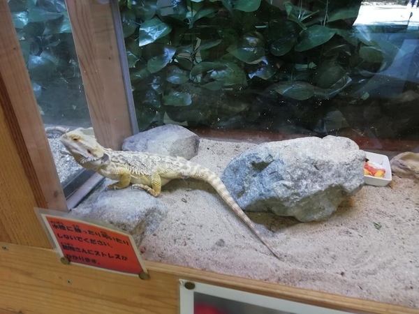 しとろり動物園