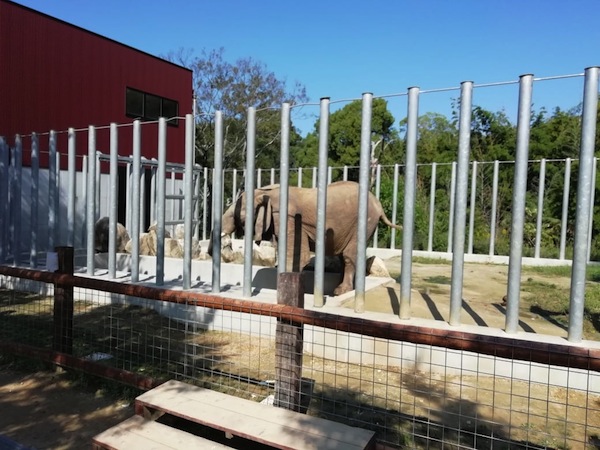 しとろり動物園