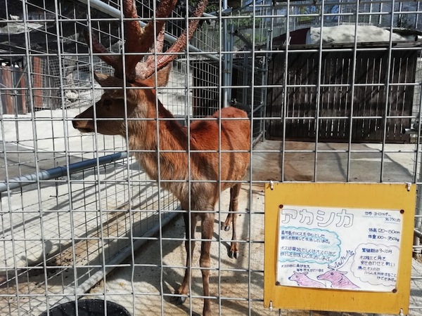 しとろり動物園