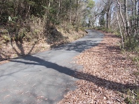 正法寺山