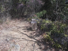 増井山