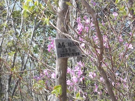 隋願寺
