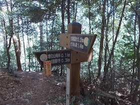 増井山