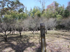 増井山