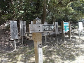 増井山