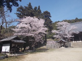 増井山