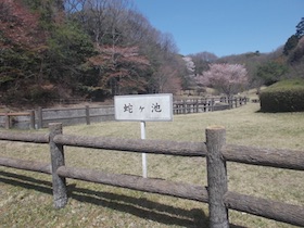 増井山