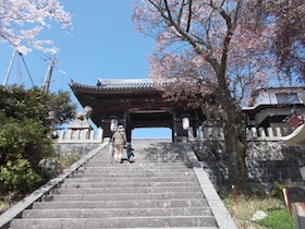 増井山