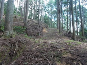 金山