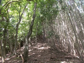 金山