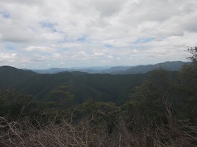 金山