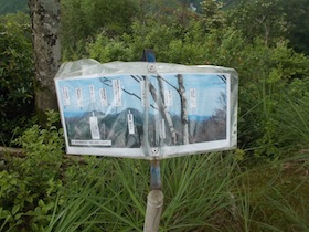 金山