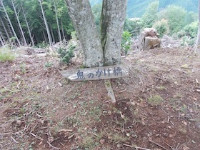 金山