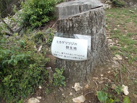 金山