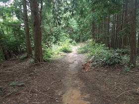 金山
