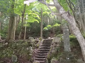 金山