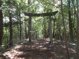 金山