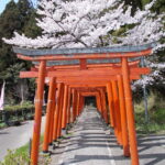 11：21　はいるとすぐ右側にたくさんの鳥居が現れます。この左側を通って進みます。