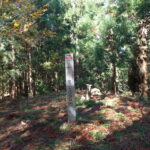 十年（じゅうねん）