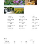 蓮とアジサイとひまわりとバイキング