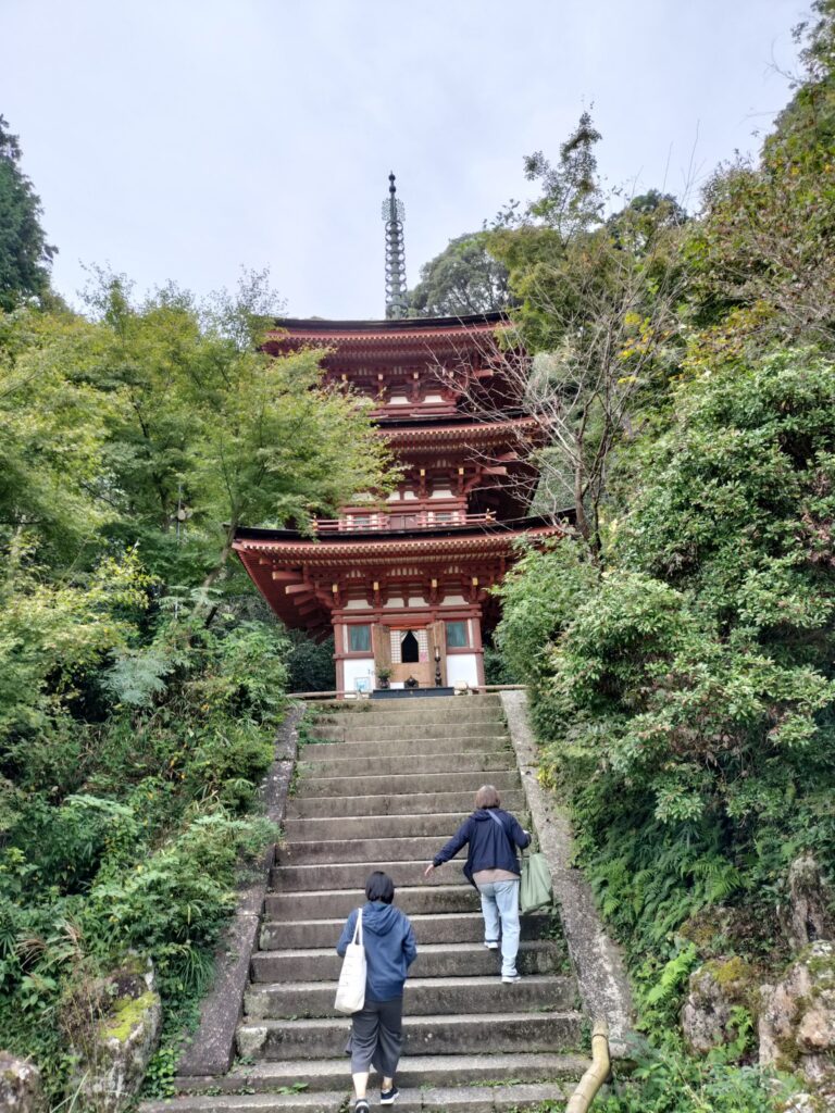 浄瑠璃寺