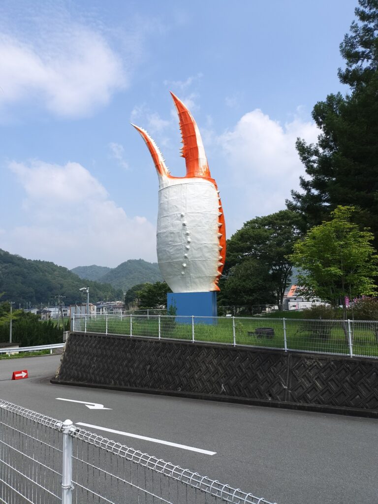 ヤマサ蒲鉾さんのハスの花