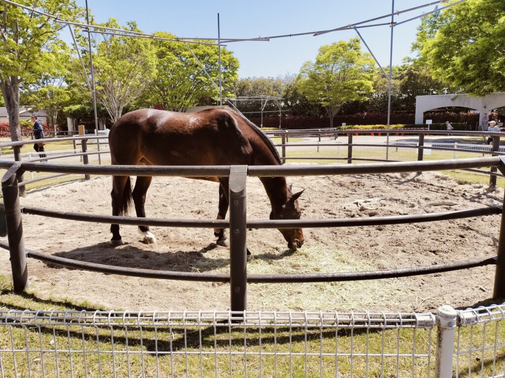 三木ホースランドパーク
